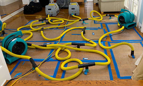 Professional Water Damage Repair technician working in Somerset, NJ
